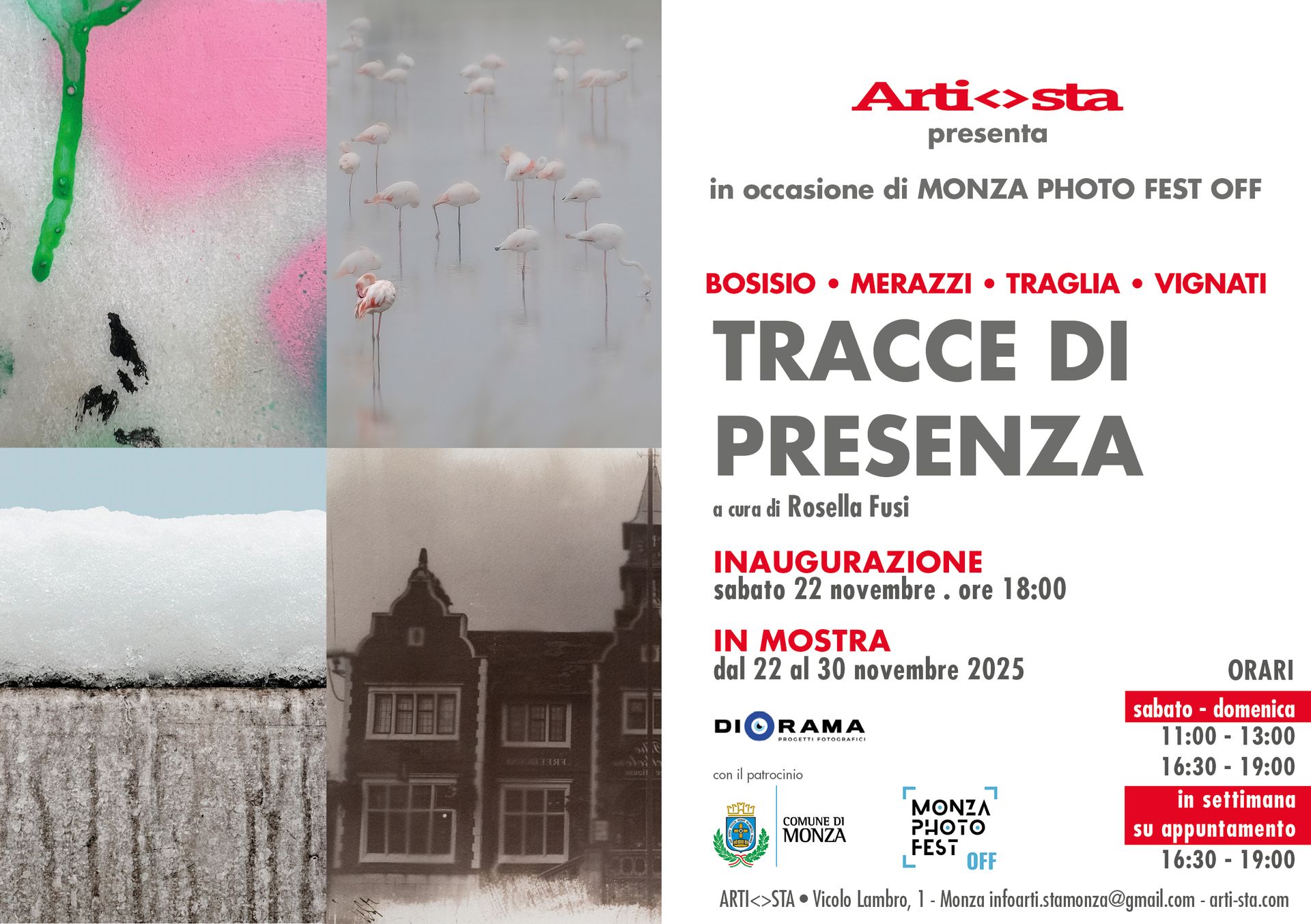 Alma Studi Angelita Bonetti