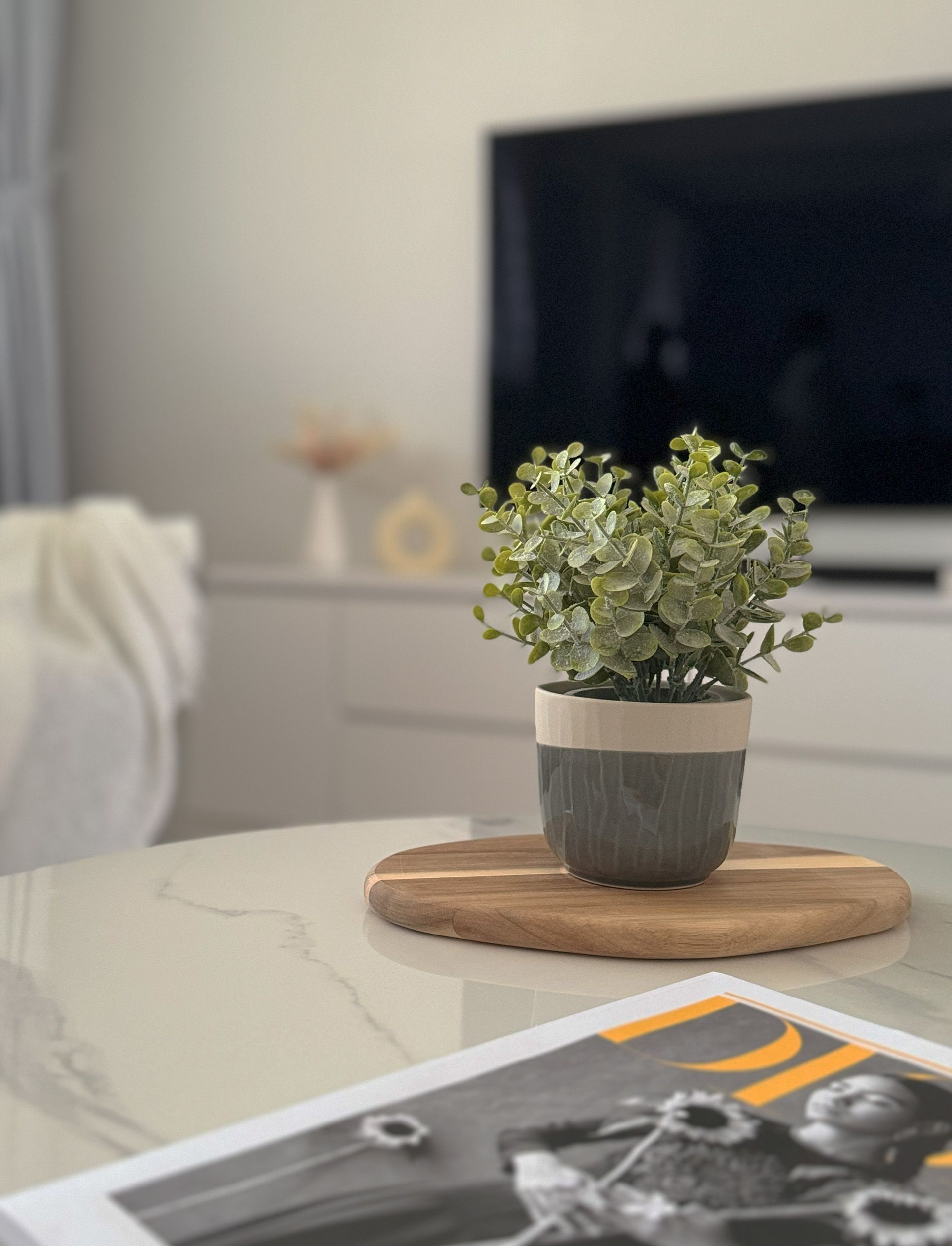 A potted plant is sitting on a table next to a magazine.