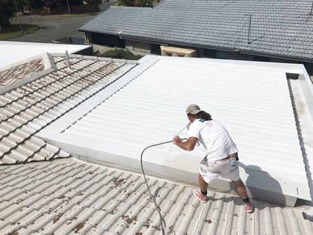 roof painting
