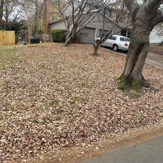 A car is parked in a driveway next to a tree covered in leaves.