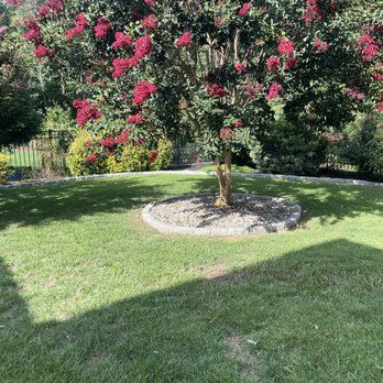 A tree with red flowers is in the middle of a lush green lawn.