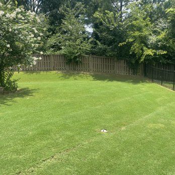 A lush green lawn with a wooden fence and trees in the background.
