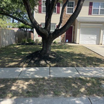 A house with a tree in front of it and a sidewalk.