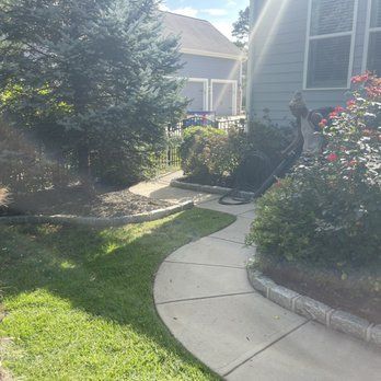 A concrete walkway leading to a house surrounded by trees and bushes.