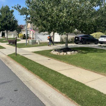 A person is walking down a sidewalk in a residential neighborhood.