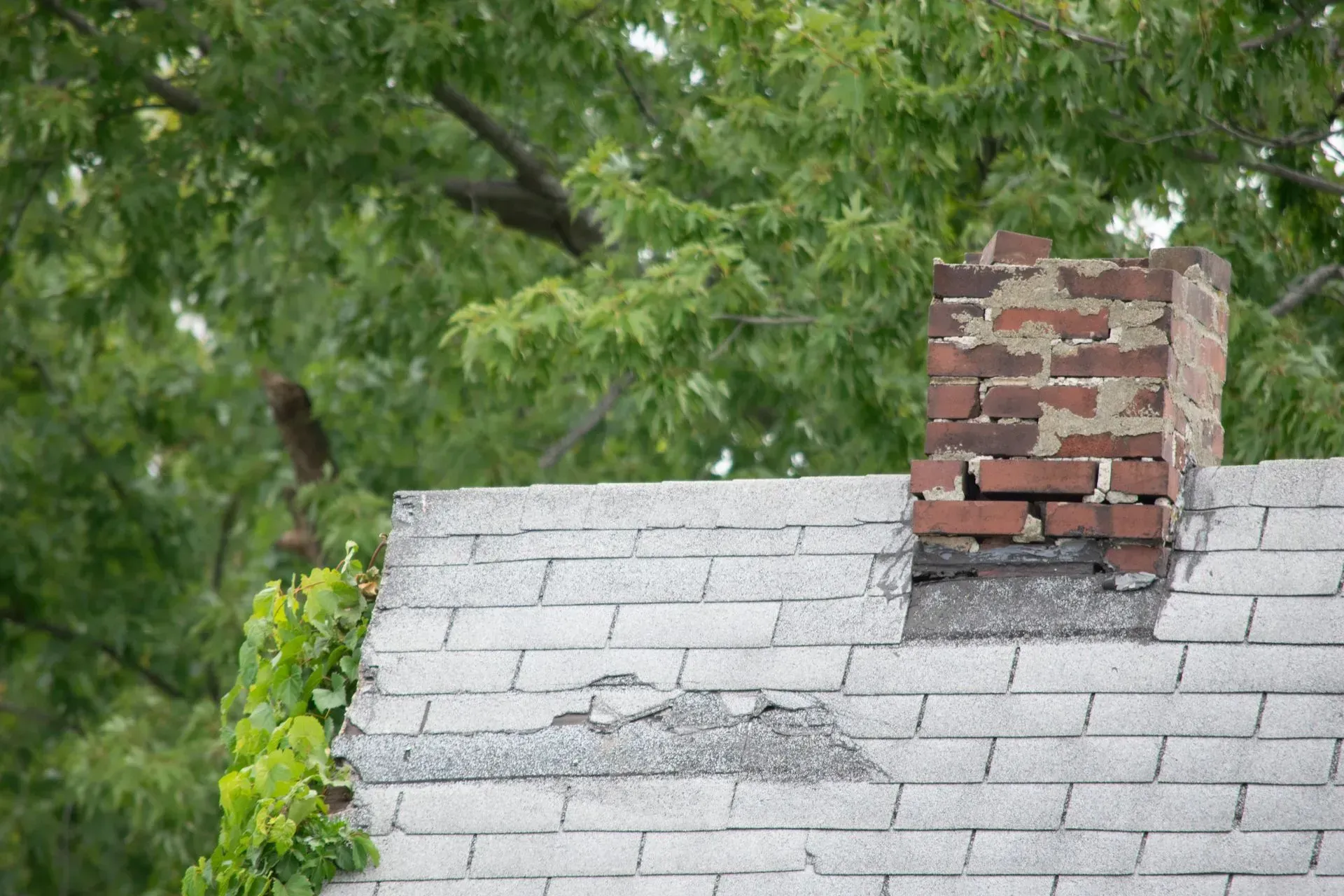 A bird is perched on top of a roof next to a chimney.
