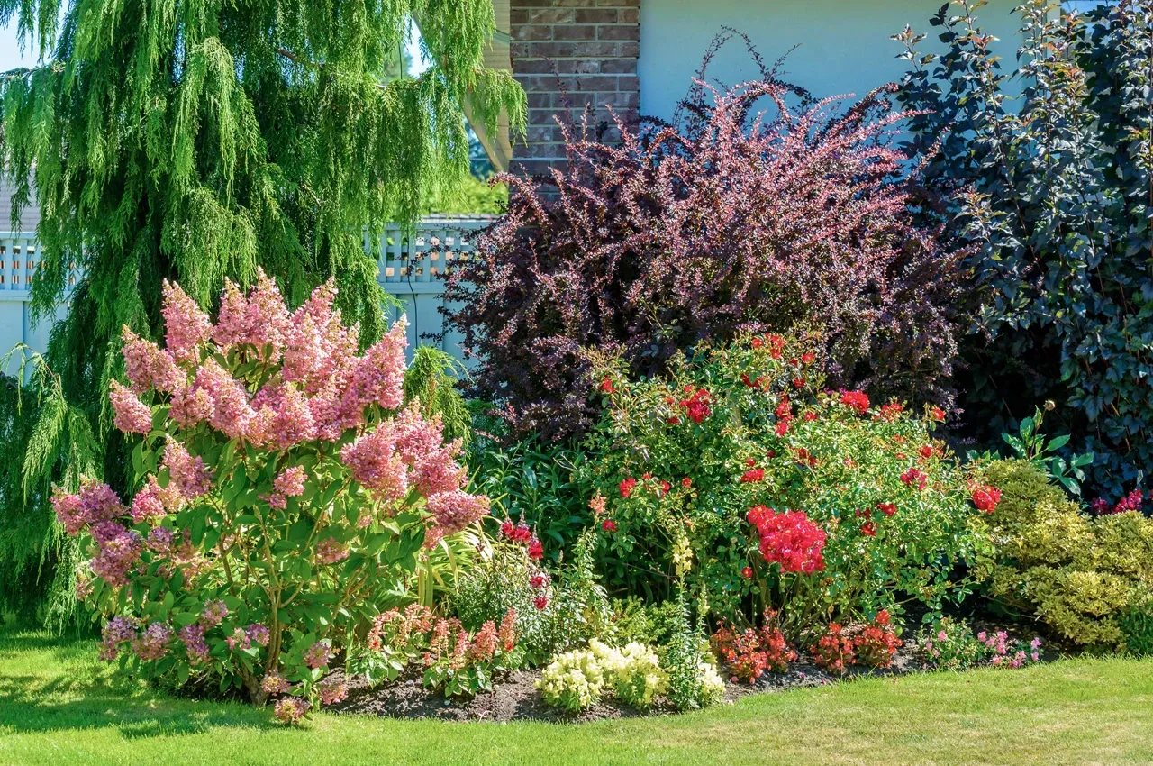 Best Plants to Create a Cottage Garden in Your Landscaping post image