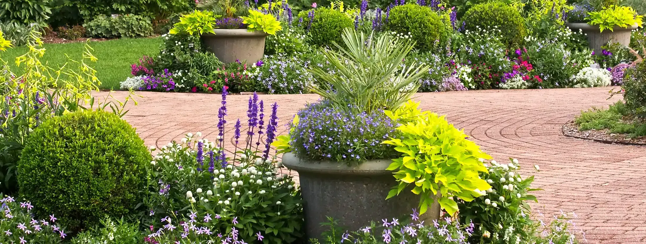 Garden path with flower pots and vibrant greenery.