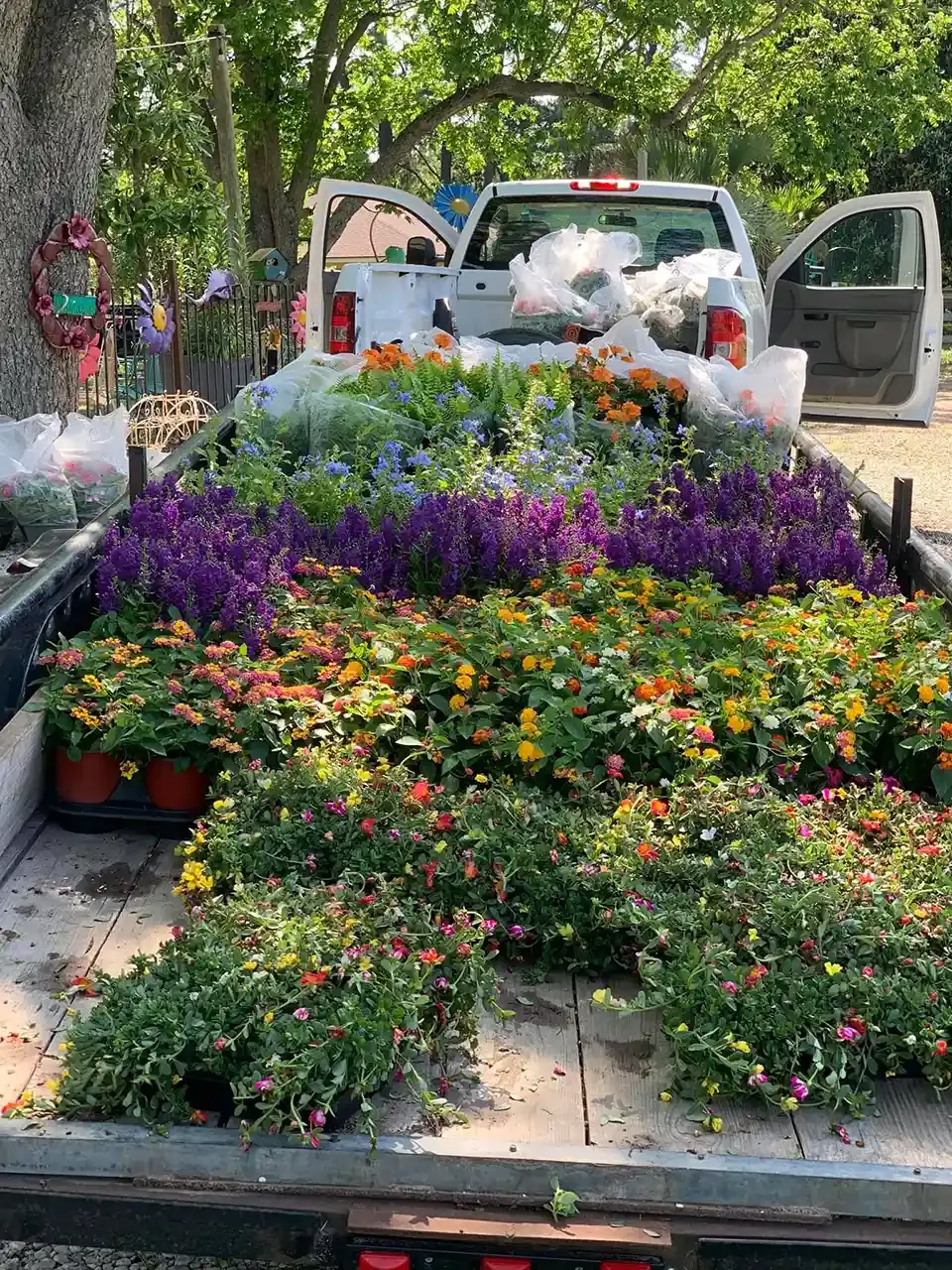 Truck bed overflowing with colorful potted flowers.