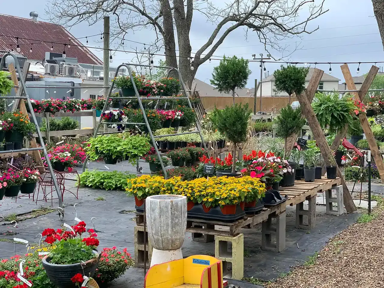 A flower shop with various colorful potted plants and hanging baskets on display.