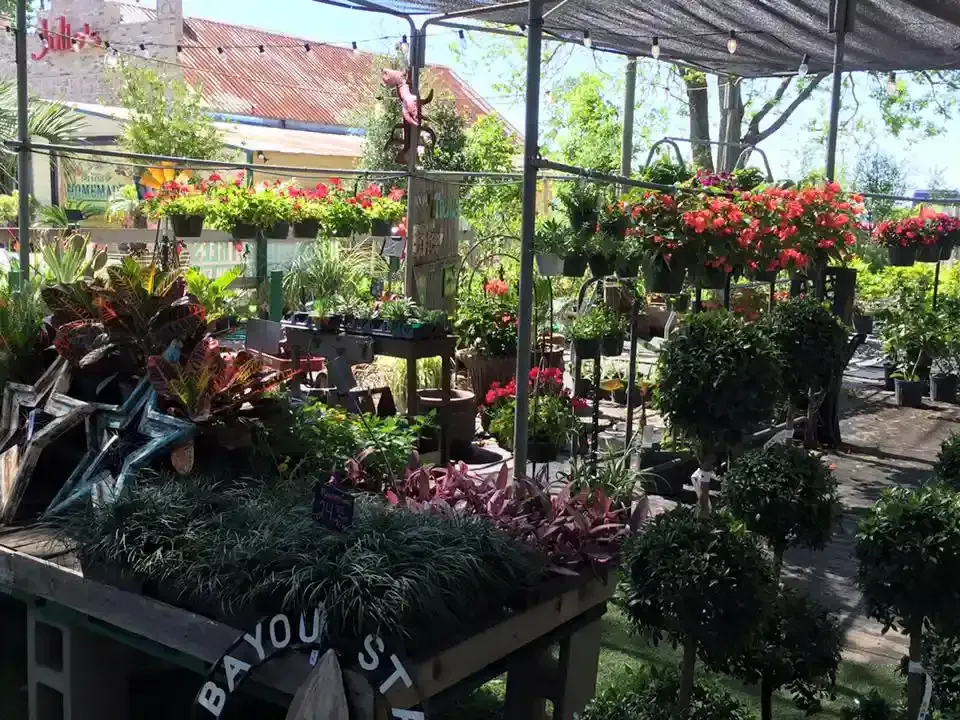 A sunny plant nursery, filled with various flowers and foliage, with tables and hanging baskets.