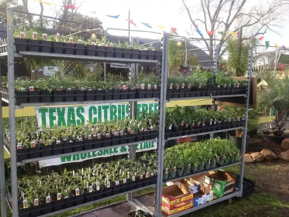 Plant display cart labeled 