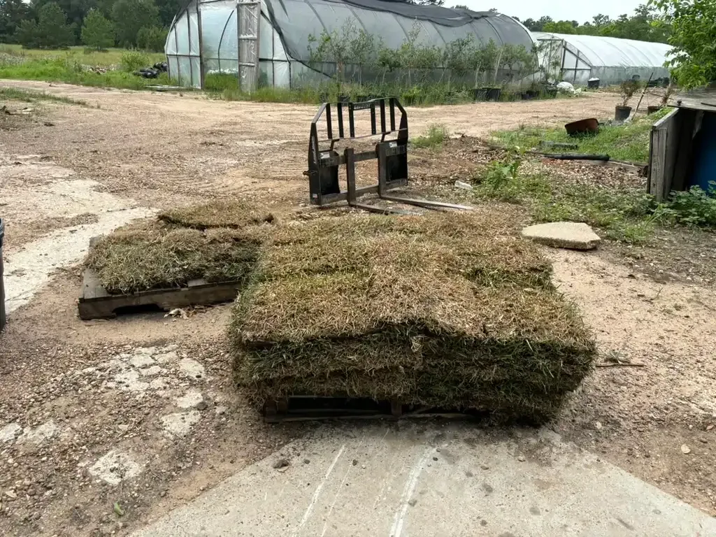 Pallets of sod on a concrete pad with a forklift, greenhouses in background.