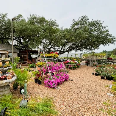 Garden center walkway with colorful flowers, potted plants, and trees under a cloudy sky