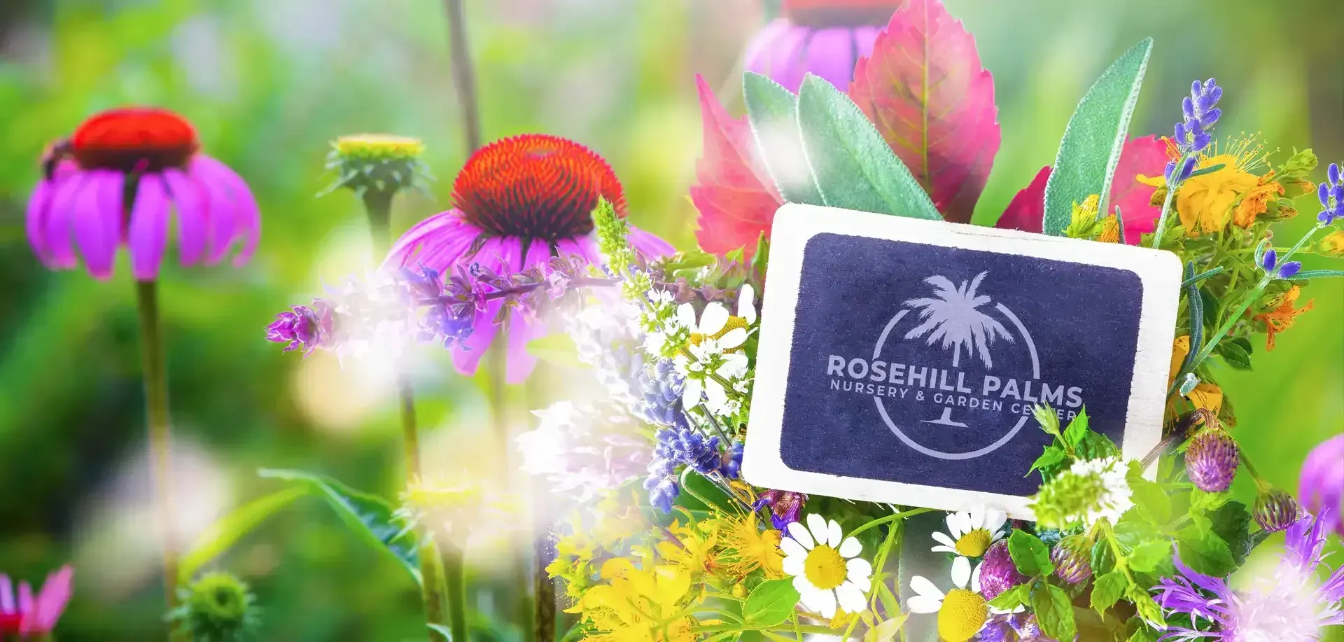 Preparation Guide to a Successful Plant Nursery Visit Post Blog image