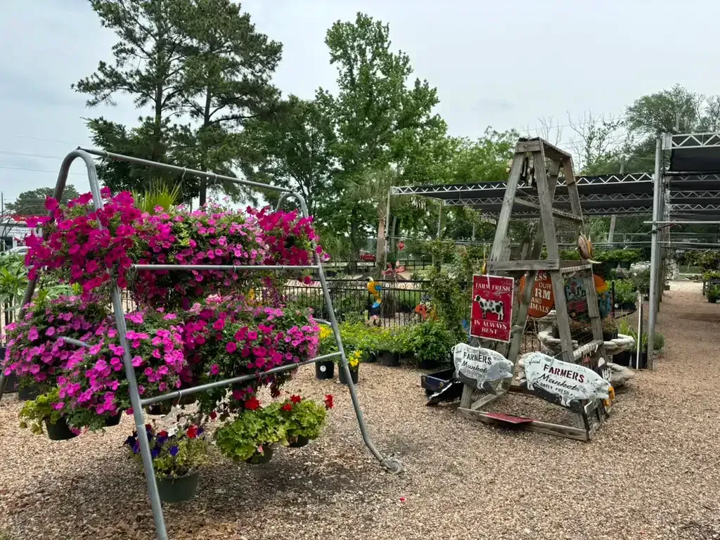 A plant nursery with hanging baskets of pink flowers and various plants under shade covers on a gravel lot.