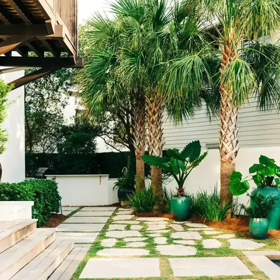 Stone path through a tropical garden with palm trees and teal planters.