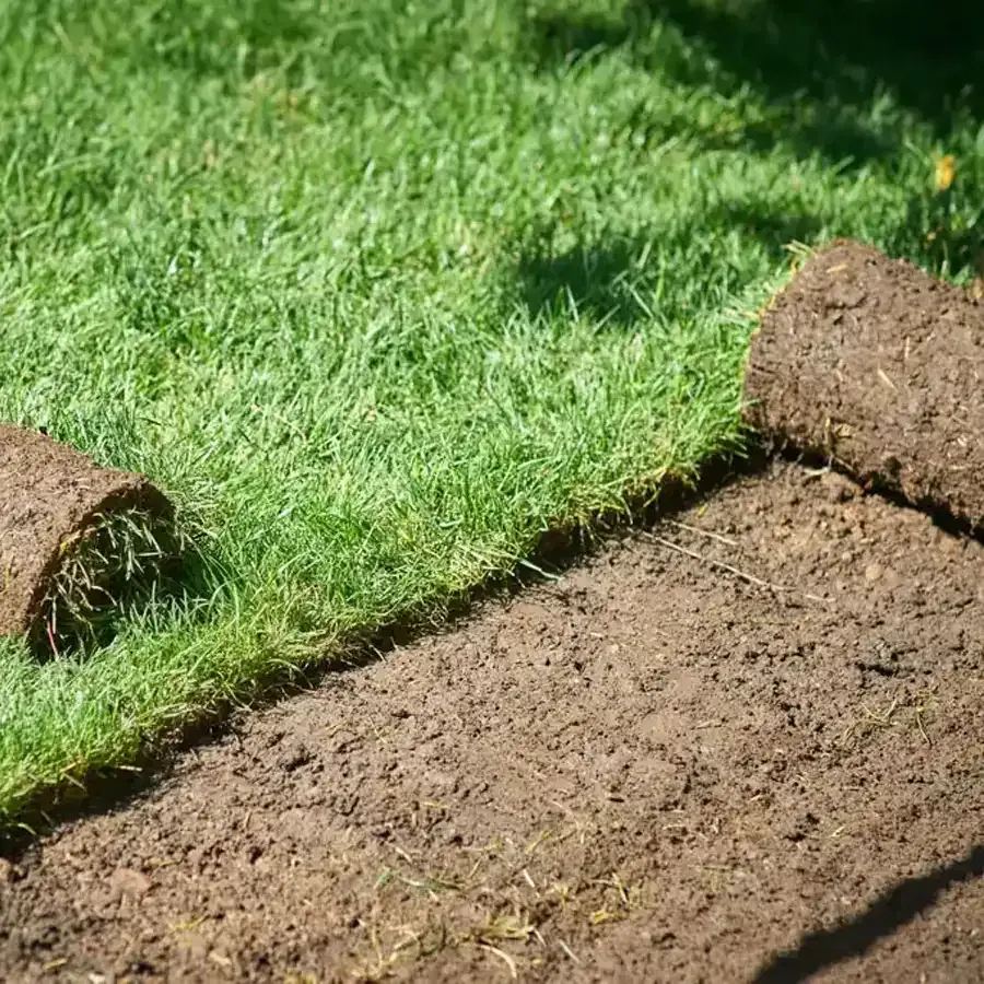 Rolls of sod being laid on exposed brown earth next to a patch of green grass.