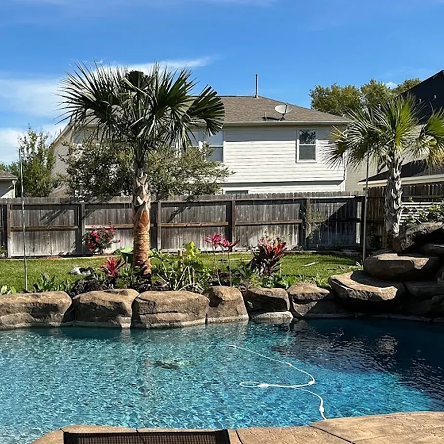 Backyard pool with palm trees, stone landscaping, and a wooden fence under a blue sky.