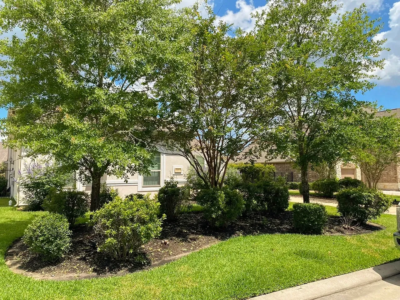 Suburban house front yard with green lawn, shrubs, and leafy trees under a blue sky