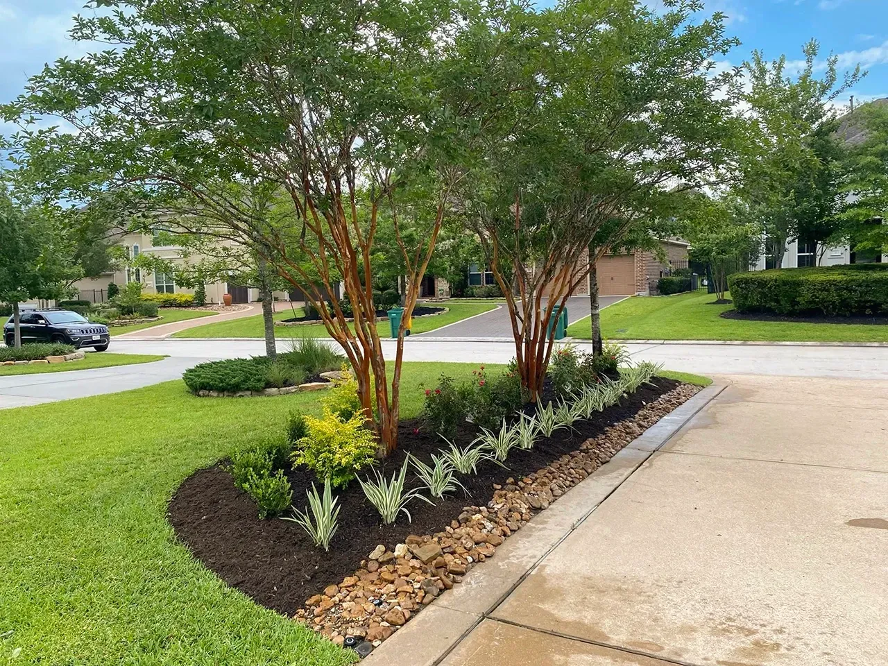 Landscaped front yard with small trees, mulch beds, and a driveway beside a quiet suburban street
