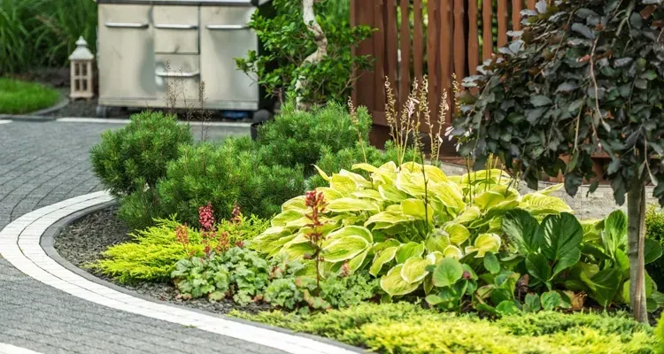 Landscaped garden bed with various green and yellow plants bordering a curved brick pathway.