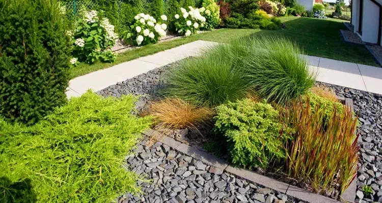 Landscaped garden bed with various green and bronze plants, surrounded by dark gray gravel.