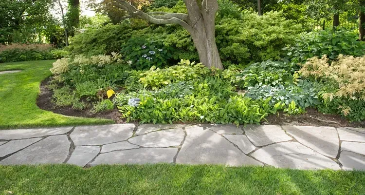 Stone path curves along a lush garden bed, tree in center, and green lawn in the foreground.