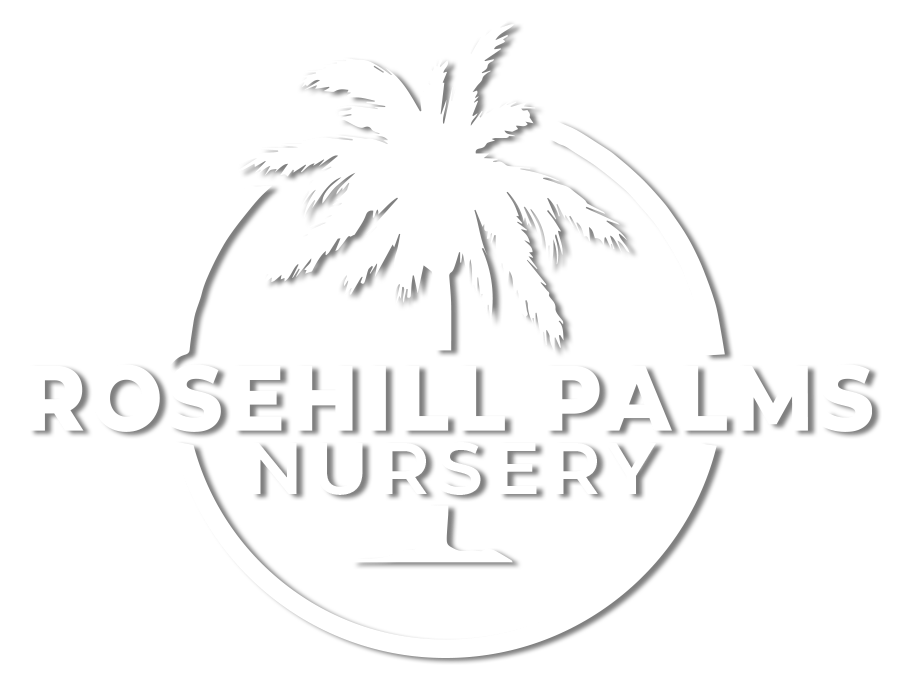 Rosehill Palms Nursery logo