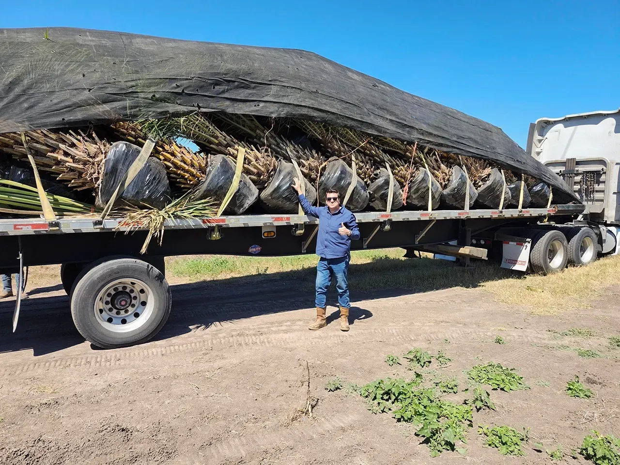 Child standing beside a flatbed truck loaded with a large wrapped tree trunk outdoors