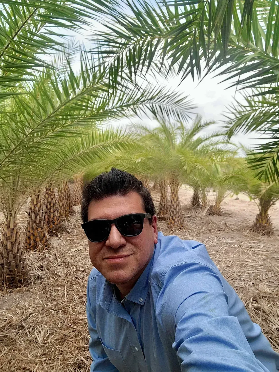 Man wearing sunglasses and a blue shirt crouches in a palm grove, taking a selfie.