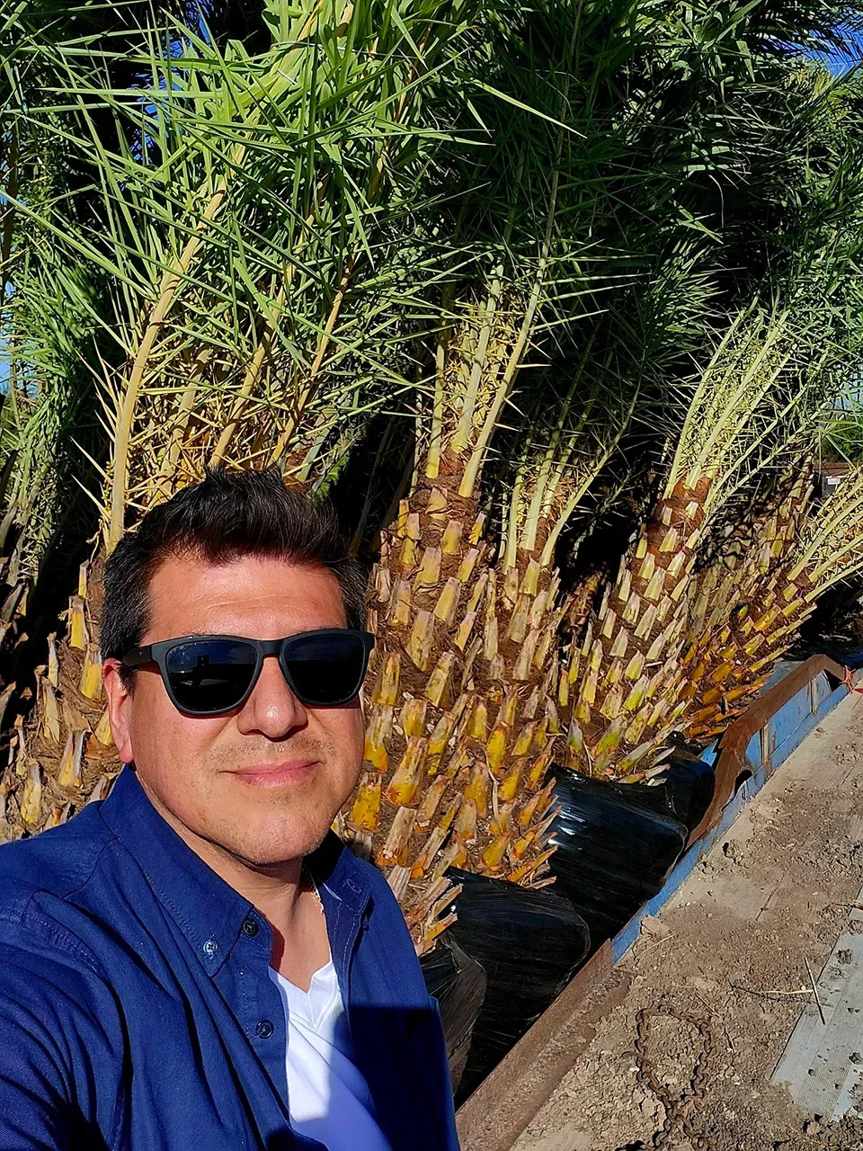 Man wearing sunglasses in a blue shirt, outdoors beside tall green plants and a concrete edge.