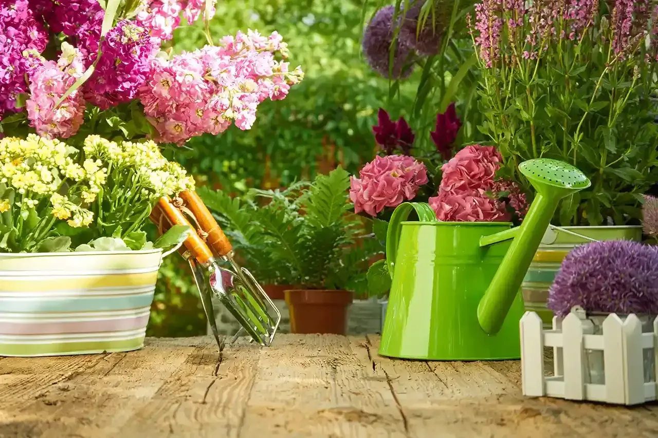A green watering can is sitting on a wooden table next to potted flowers.