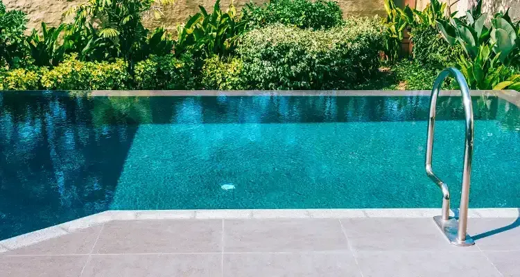 Rosehill Palms - How to Design Landscaping Around a Pool - Pool example 06