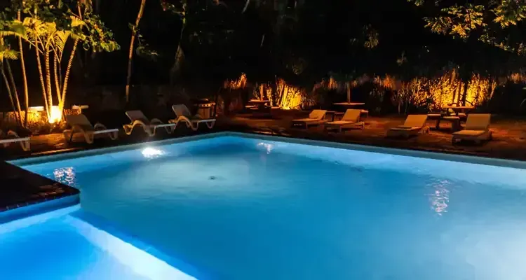 Rosehill Palms - How to Design Landscaping Around a Pool - Pool example 07