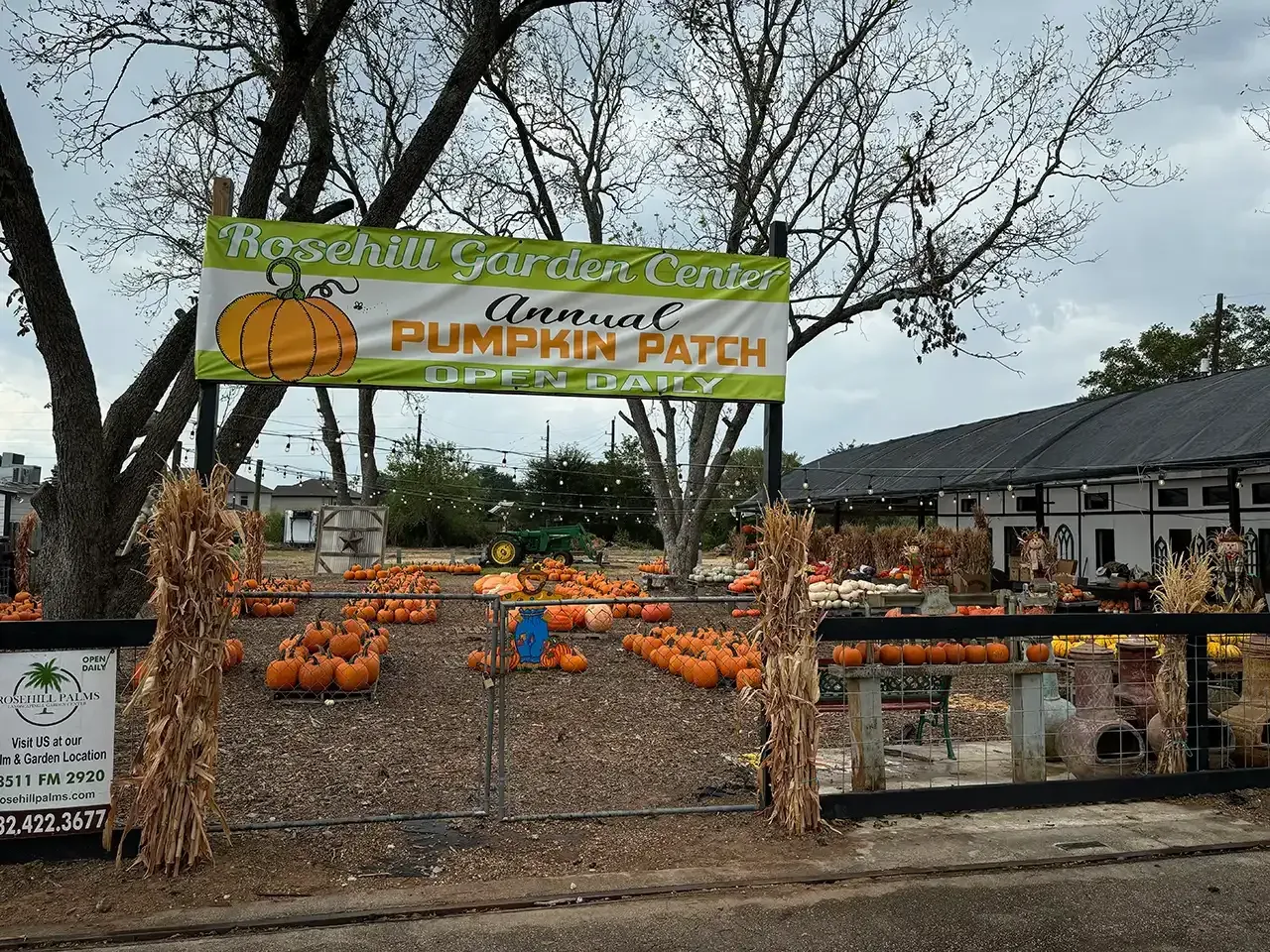 A pumpkin patch at the Rosehill Garden Center with pumpkins and signage, under a cloudy sky.