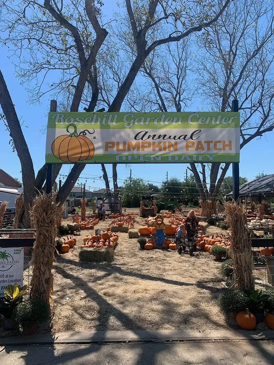 Entrance to annual pumpkin patch with sign and pumpkins.