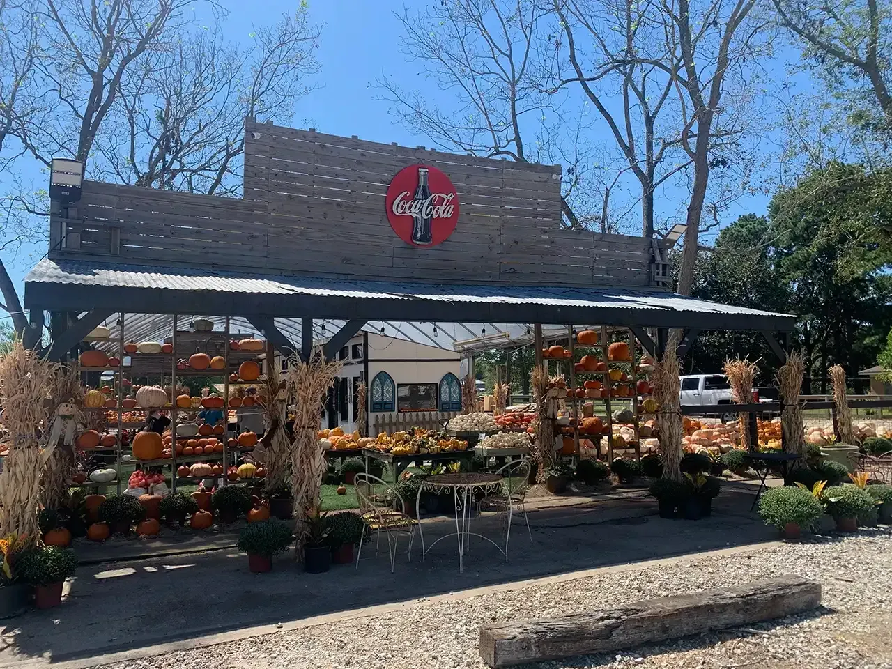 Pumpkin patch with pumpkins, flowers, and a Coca-Cola sign.