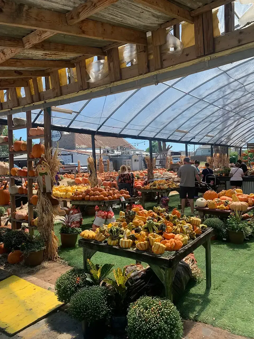 Pumpkin patch: Sheltered display of pumpkins, gourds, and autumn decor; people browse selections.