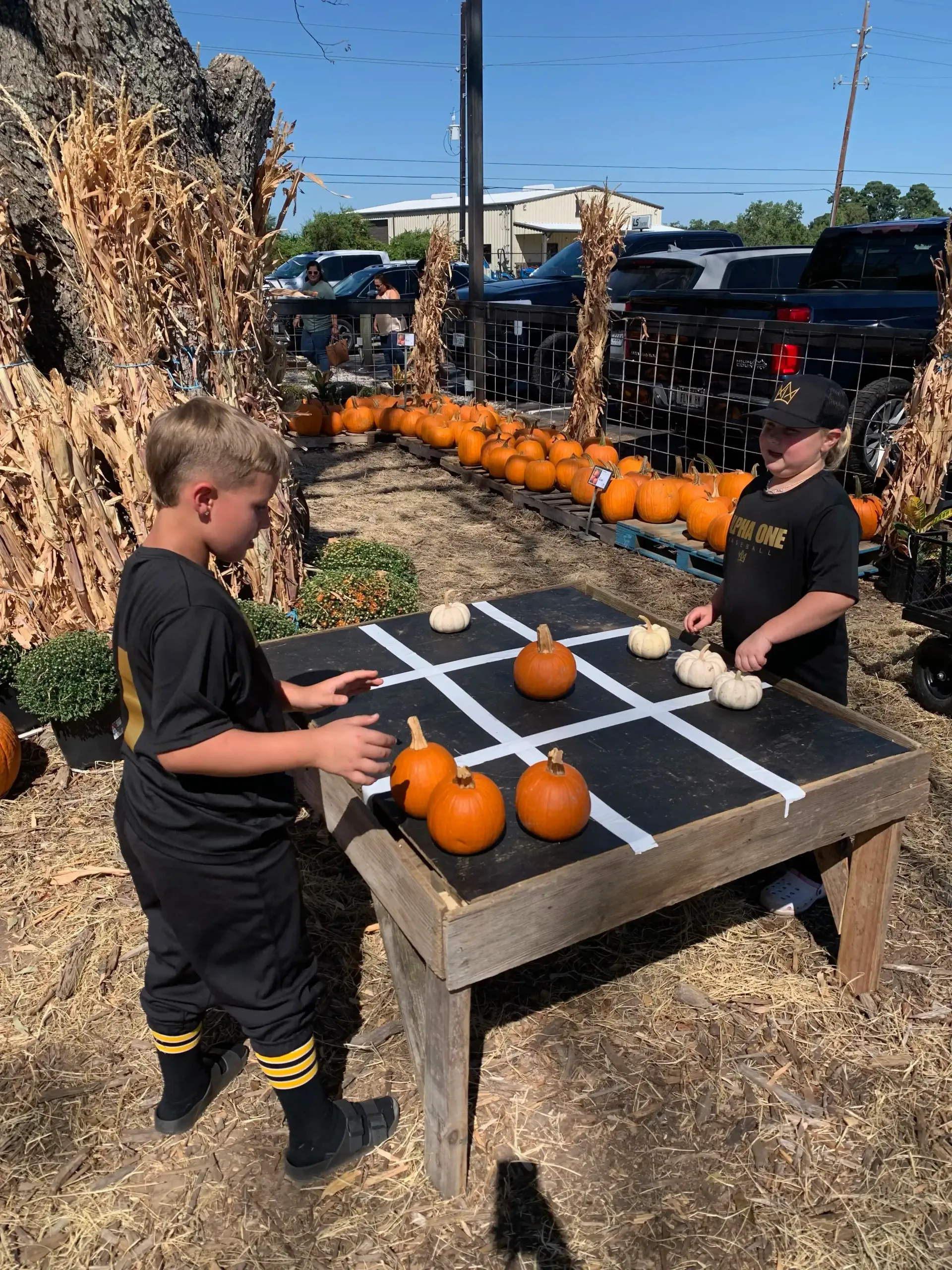 Two boys playing tic-tac-toe with pumpkins at an outdoor fall event.