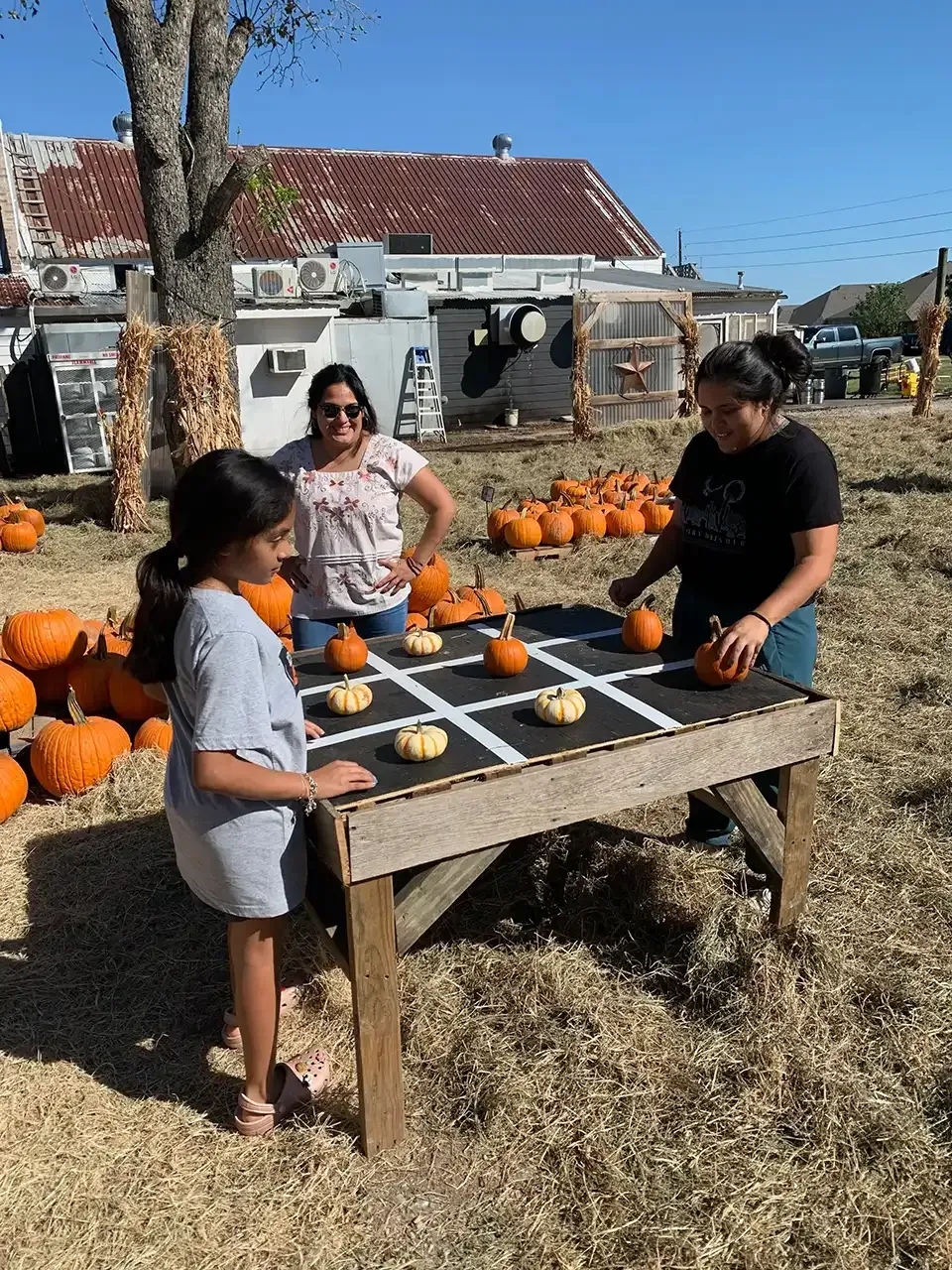 Family playing pumpkin tic-tac-toe at a pumpkin patch.