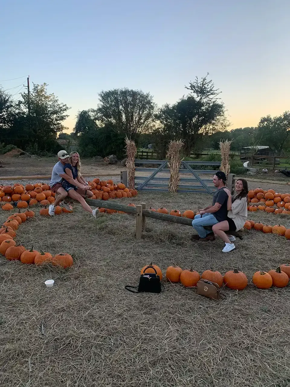 Two pairs of people on a seesaw surrounded by pumpkins in a field.