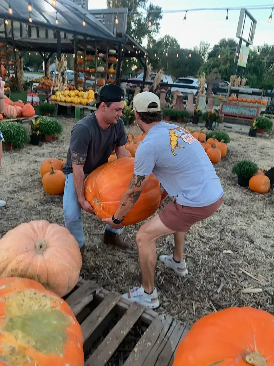 Two people lift a large orange pumpkin at a pumpkin patch.