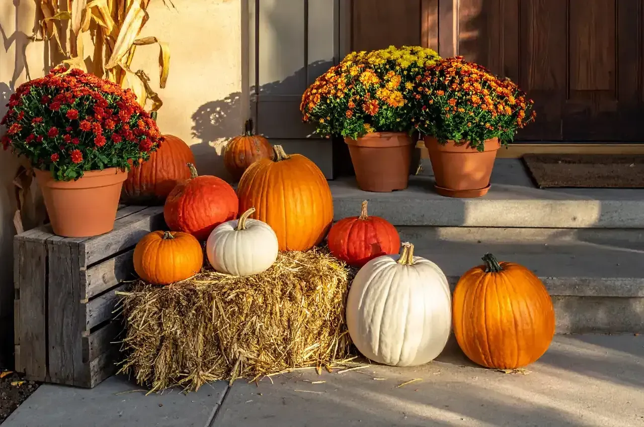 Pumpkins and potted mums on porch steps for fall.
