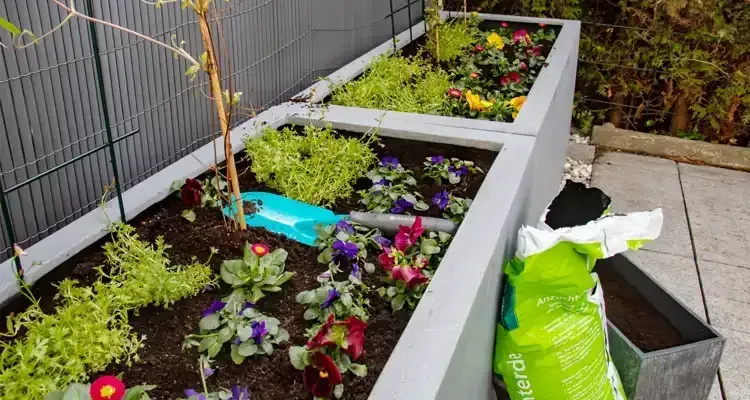 Rosehill Palms plant pairings - Space Considerations