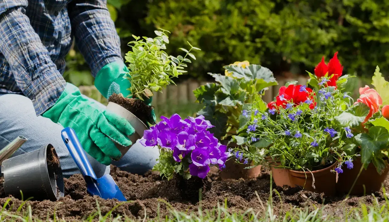 How to plan for Spring 2025 Rosehill Palms blog post image