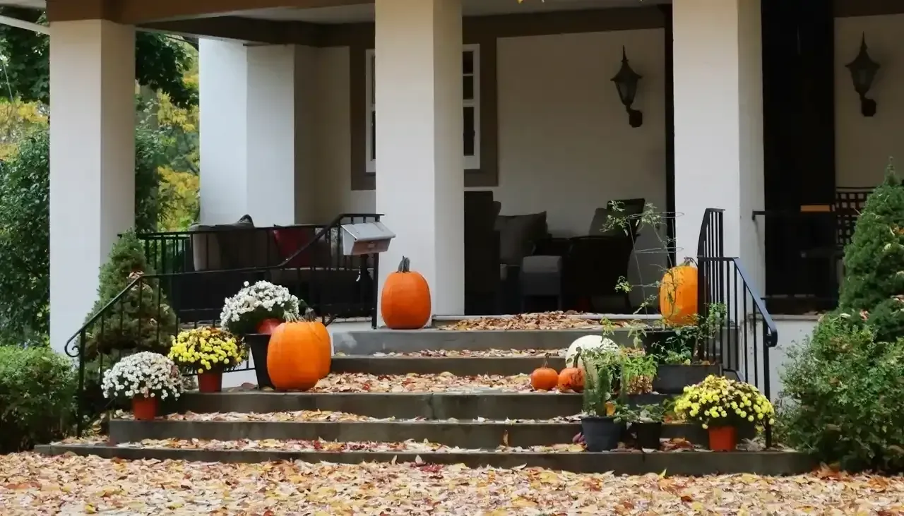 7 Creative Ways to Style Pumpkins Beyond the Porch post blog image