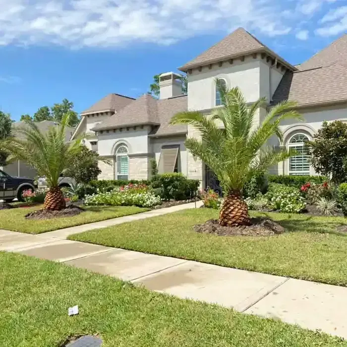 Two palm trees flank the front yard of a light-colored house with a manicured lawn.