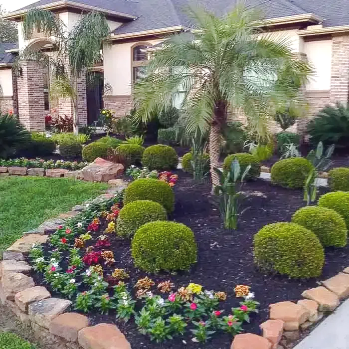 Well-manicured front yard with green bushes, flowers, and a palm tree in front of a house.