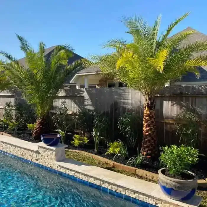 Palm trees and plants border a swimming pool, blue water, blue pots, wooden fence, sunny day.